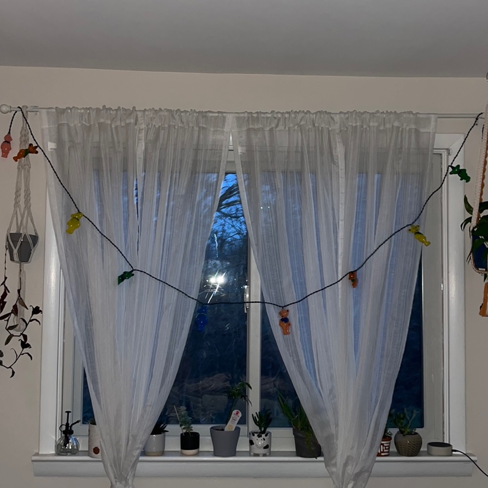 Grateful dead bear string lights